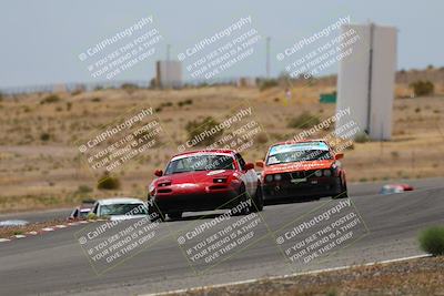 media/May-03-2025-Lucky Dog Racing (Sat) [[206de64b9d]]/Turn 6 (150pm-230pm)/